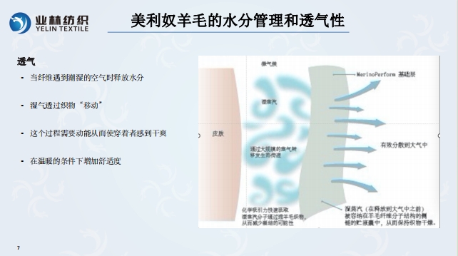银河8366cc(中国)有限公司官网